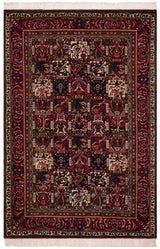 Safavieh Bakhtiari Bkt103A Ivory/Red Rug.