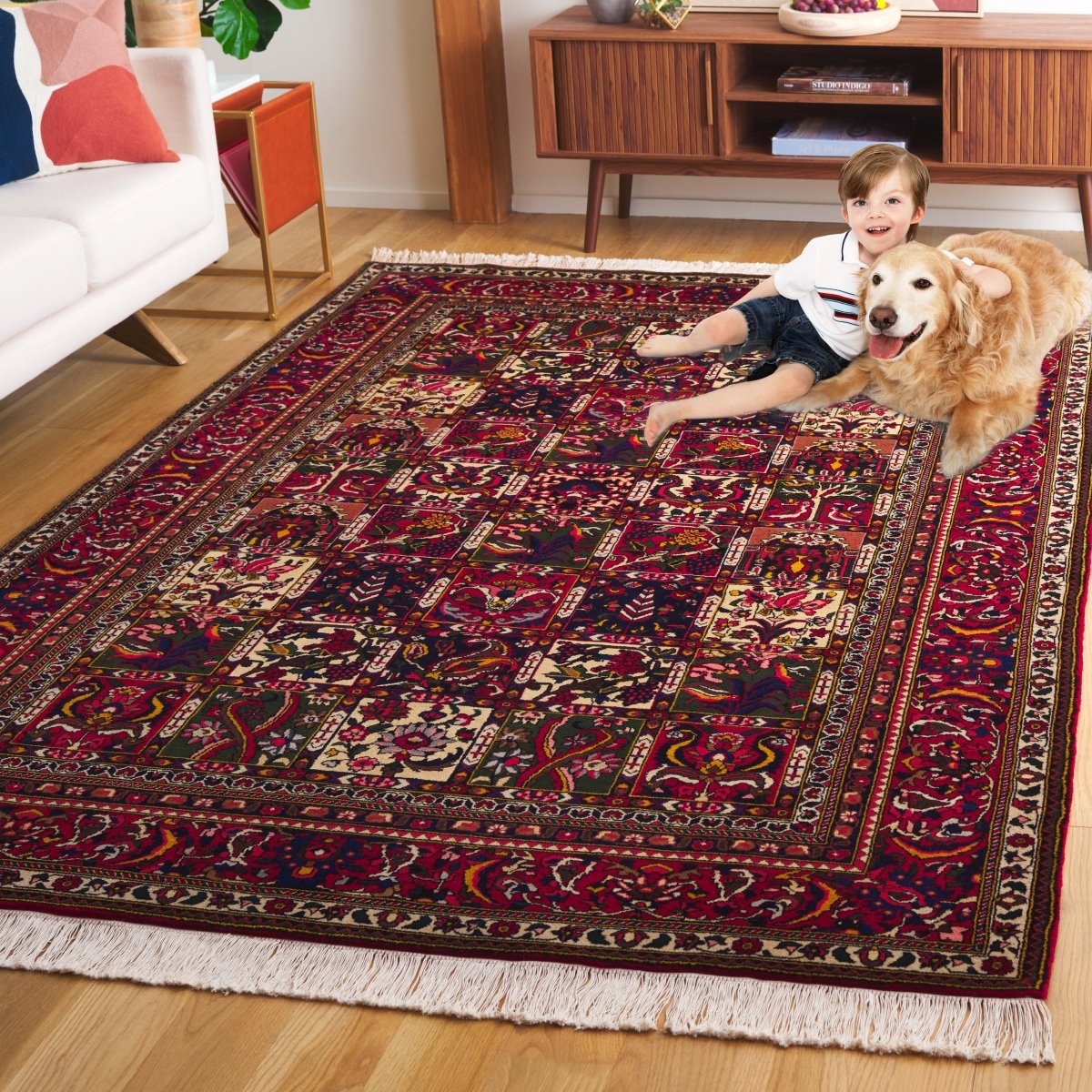 Safavieh Bakhtiari Bkt103A Ivory/Red Rug.