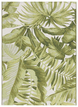 Safavieh Barbados Bar598A Ivory/Green Rug.