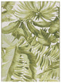Safavieh Barbados Bar598A Ivory/Green Rug.