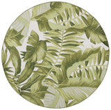 Safavieh Barbados Bar598A Ivory/Green Rug.