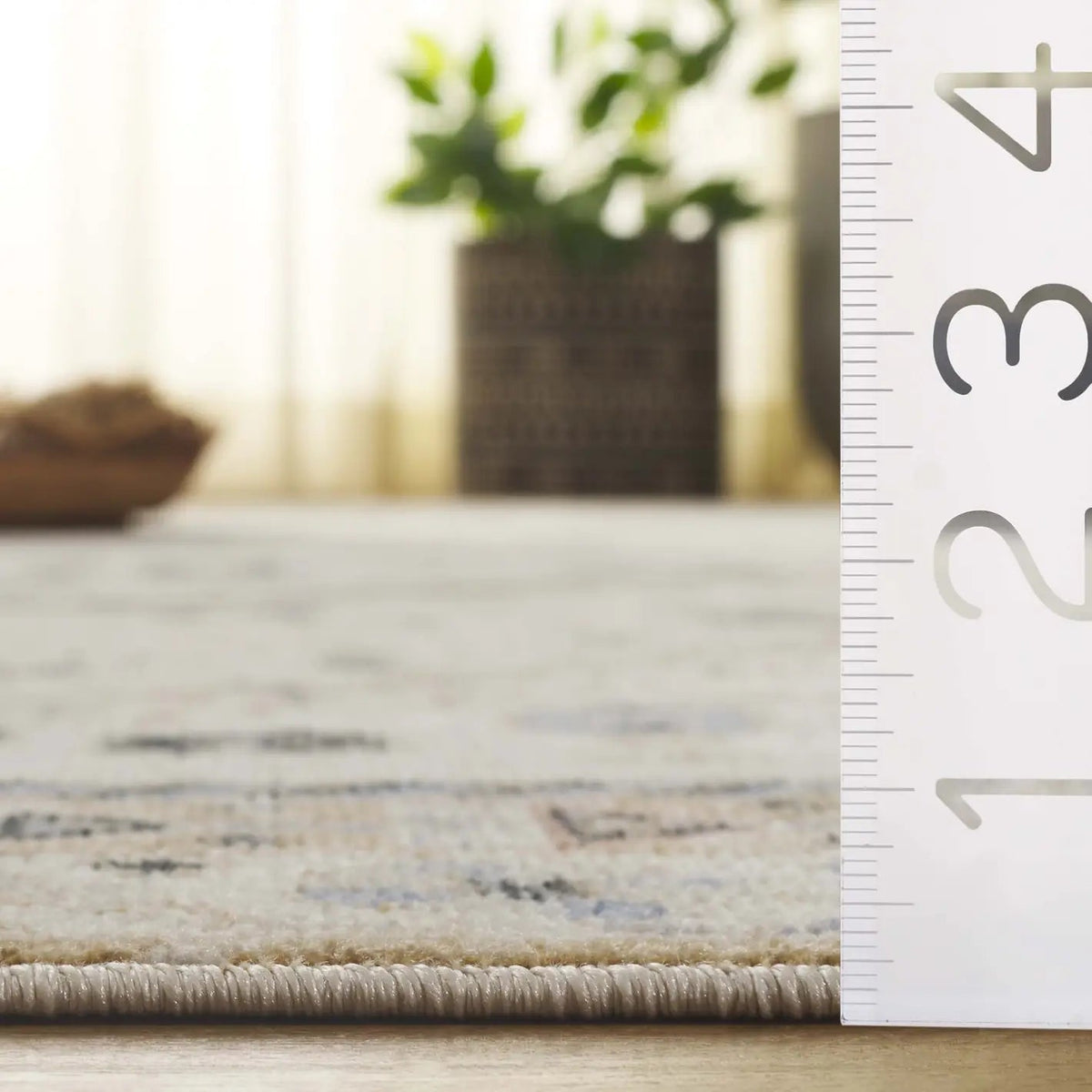 Safavieh Bayside 4'-0" x 6'-0" Rug in Ivory / Beige Blue