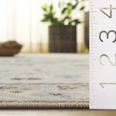 Safavieh Bayside 4'-0" x 6'-0" Rug in Ivory / Beige Blue