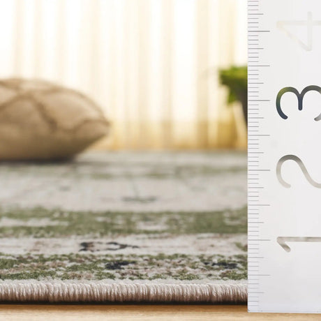 Safavieh Bayside 4'-0" x 6'-0" Rug in Green / Beige