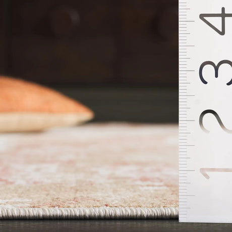 Safavieh Bayside 4'-0" x 6'-0" Rug in Ivory / Orange Beige