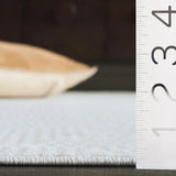 Safavieh Bayside 4'-0" x 6'-0" Rug in Ivory / Light Grey