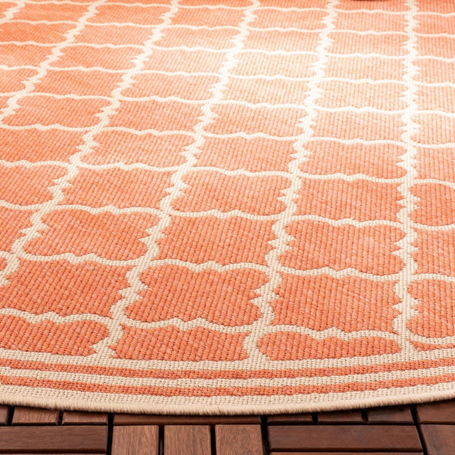 Safavieh Beach House Bhs121P Rust/Creme Rug.