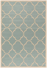 Safavieh Beach House Bhs125K Aqua/Cream Rugs.
