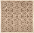 Safavieh Beach House Bhs134C Cream/Beige Rugs.