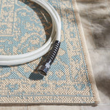 Safavieh Beach House Bhs137K Aqua/Cream Rugs.
