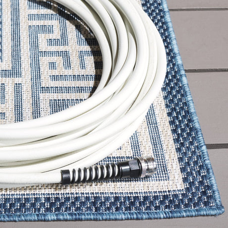 Safavieh Beach House Bhs276M Blue/Ivory Rug.