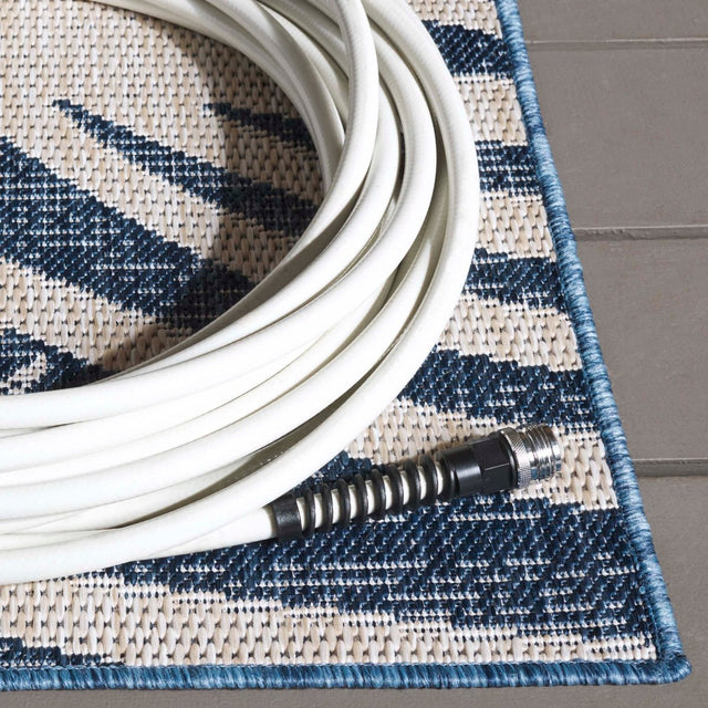 Safavieh Beach House Bhs294M Blue/Ivory Rug.