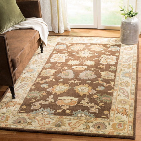 Safavieh Bergama brg136b Brown / Ivory Rugs.