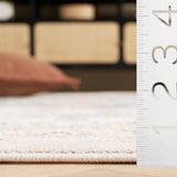Safavieh Blair Washable Blr240A Ivory/Blue Rug.