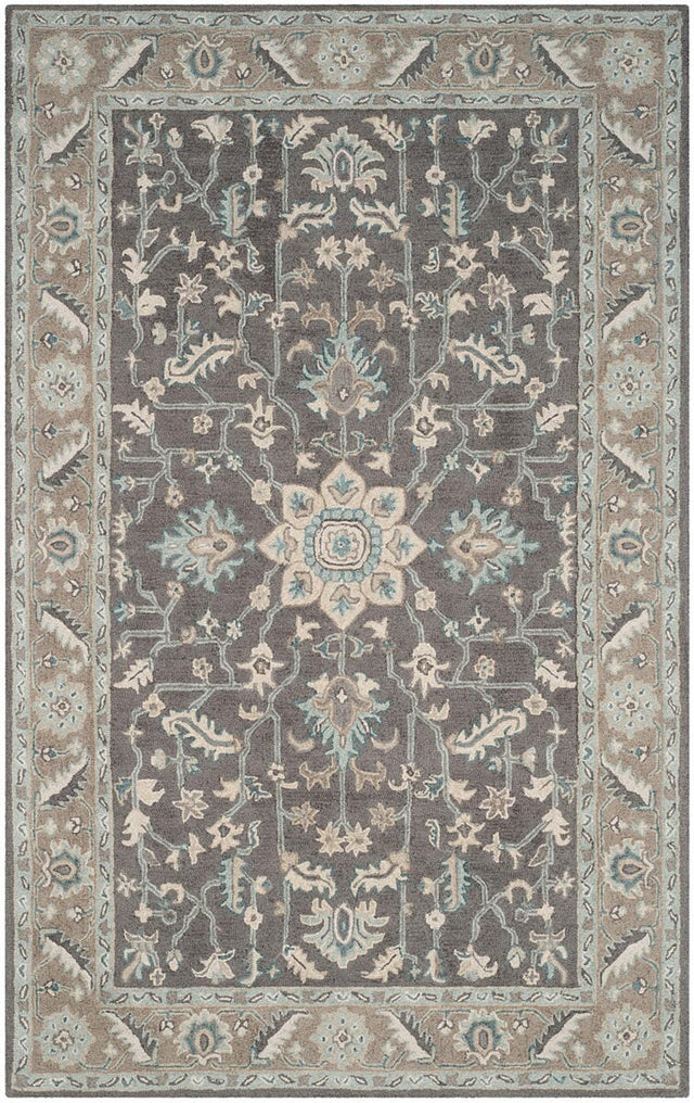 Safavieh Blossom Blm217A Dark Grey/Light Brown Rug.