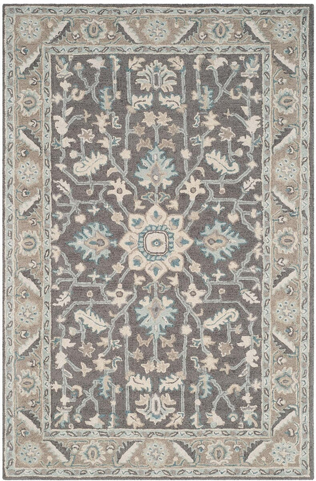 Safavieh Blossom Blm217A Dark Grey/Light Brown Rug.