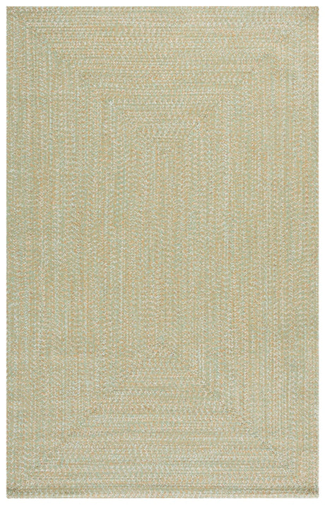 Safavieh Braided 4'-0" x 6'-0" Rug in Light Green / Sage