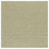 Safavieh Braided 5'-0" x 5'-0" Rug in Light Green / Sage