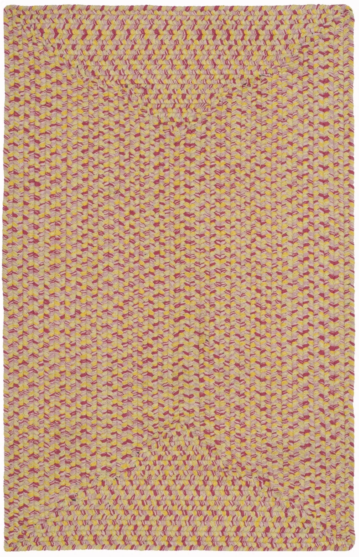 Safavieh Braided 2'-6" x 4'-0" Rug in Multi