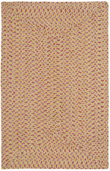 Safavieh Braided 2'-6" x 4'-0" Rug in Multi