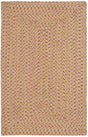 Safavieh Braided 2'-6" x 4'-0" Rug in Multi