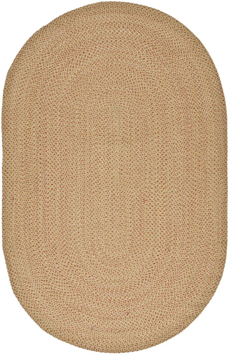 Safavieh Braided 5'-0" x 8'-0" Rug in Multi