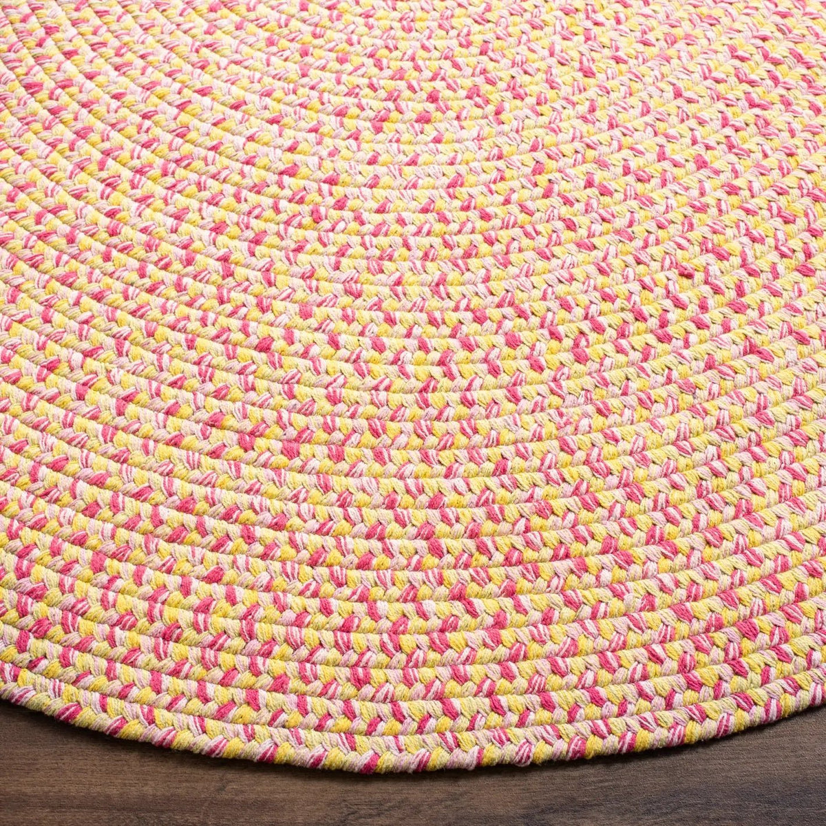 Safavieh Braided 5'-0" x 8'-0" Rug in Multi