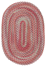 Safavieh Braided Brd257L Light Blue/Rust Rug.