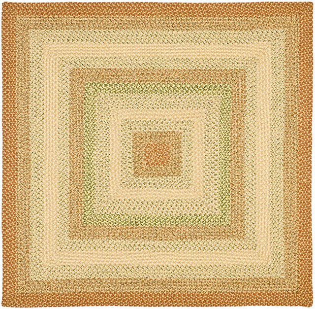 Safavieh Braided Brd303A Rust/Multi Rug.