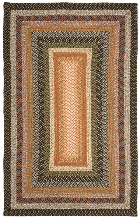 Safavieh Braided Brd308A Multi Rug.