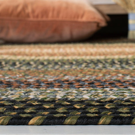 Safavieh Braided Brd308A Multi Rug.