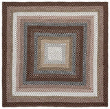 Safavieh Braided 5'-0" x 5'-0" Rug in Brown / Multi