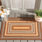 Safavieh Braided 2'-0" x 3'-0" Rug in Brown / Light Brown