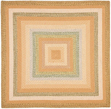 Safavieh Braided Brd314A Tan / Multi Rugs.