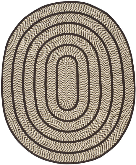 Safavieh Braided 8'-0" x 10'-0" Rug in Ivory / Dark Brown