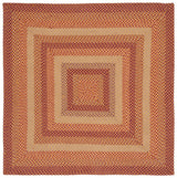 Safavieh Braided Brd651C Yellow/Red Rug.