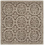 Safavieh Cambridge 4'-0" x 4'-0" Rug in Tan / Multi