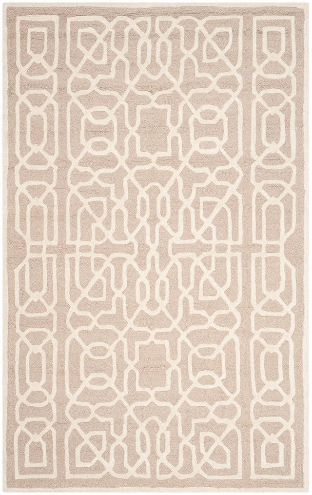 Safavieh Cambridge Cam570J Beige / Ivory Rugs - Safavieh - cam570j - 2