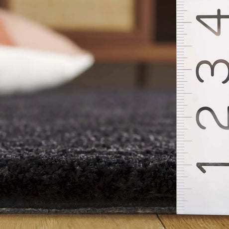 Safavieh Carmine 4'-0" x 6'-0" Rug in Black
