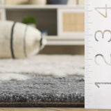 Safavieh Casablanca 4'-0" x 6'-0" Rug in Dark Grey / Ivory