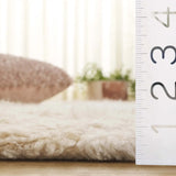 Safavieh Casablanca 4'-0" x 6'-0" Rug in Ivory / Beige
