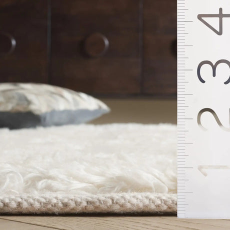 Safavieh Casablanca 4'-0" x 6'-0" Rug in Ivory