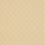 Safavieh Courtyard cy0901 - 3101 Natural / Blue Rugs - Safavieh - cy0901 - 3101 - 0