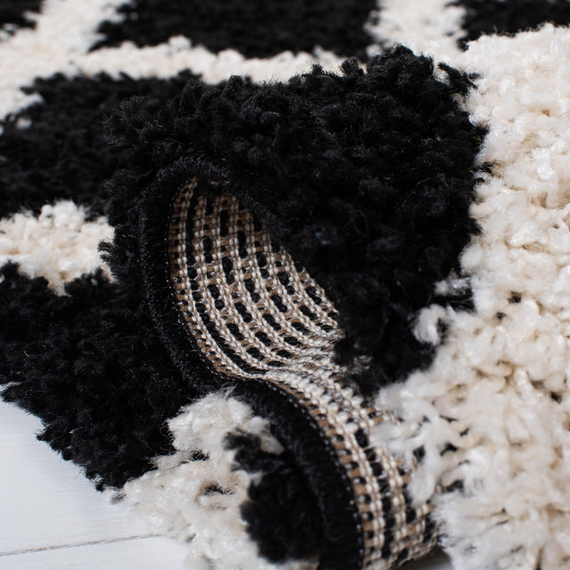 Safavieh Dallas Shag Sgd258Z Black/Ivory Rugs - Safavieh - sgd258z - 6r