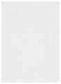 Safavieh Decora Shaggy Des101 Ivory Rug - Safavieh - des101 - 3138 - 3