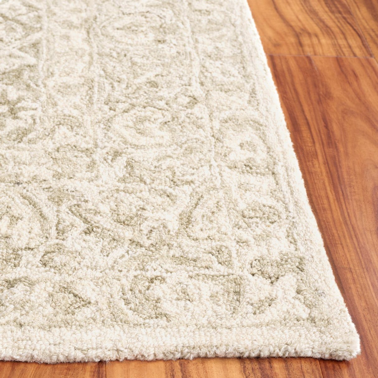 Safavieh Dip Dye Ddy151W Sage/Ivory Rug - Safavieh - ddy151w - 28