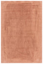 Safavieh Easy Care 4'-0" x 6'-0" Rug in Rust