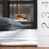 Safavieh Ebony 4'-0" x 6'-0" Rug in Black / Ivory