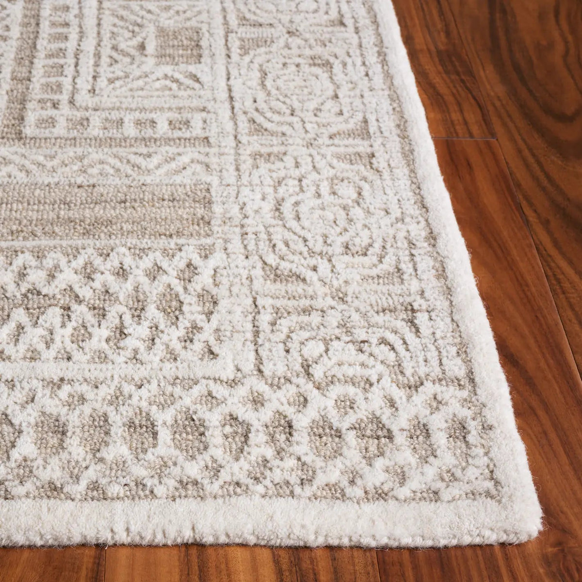 Safavieh Ebony 4'-0" x 6'-0" Rug in Beige / Ivory