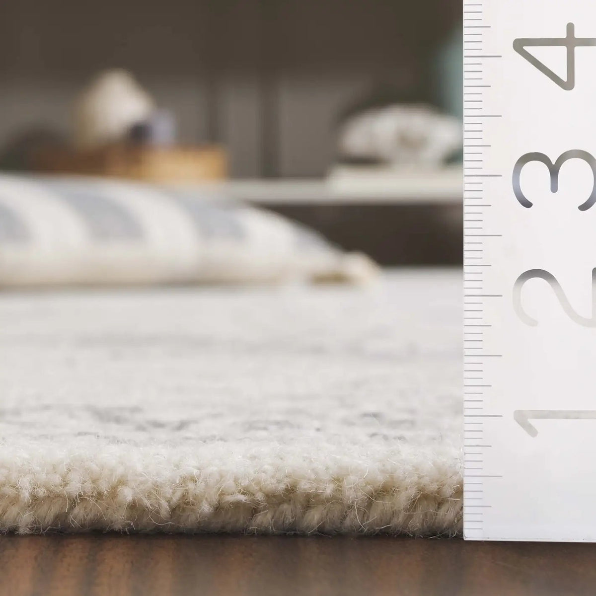 Safavieh Ebony 4'-0" x 6'-0" Rug in Ivory / Grey